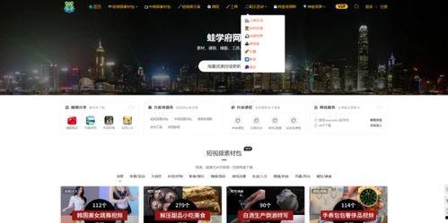 新闻爆料口播视频素材网站,海量资源一网打尽