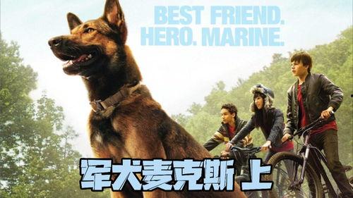 军犬麦克斯1在线观看,忠诚守护，战火中的生死相依